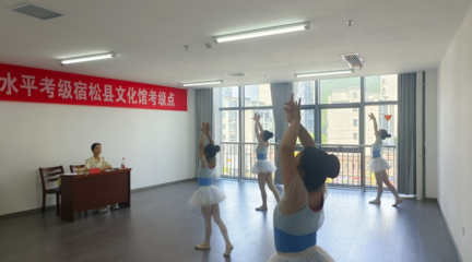 2024年宿松縣文化館全國(guó)社會(huì)藝術(shù)水平考級(jí)工作圓滿完成
